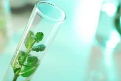Photo of Green plant in test tube on blurred background, closeup. Biological chemistry