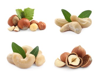 Image of Tasty hazelnuts and cashews isolated on white, set