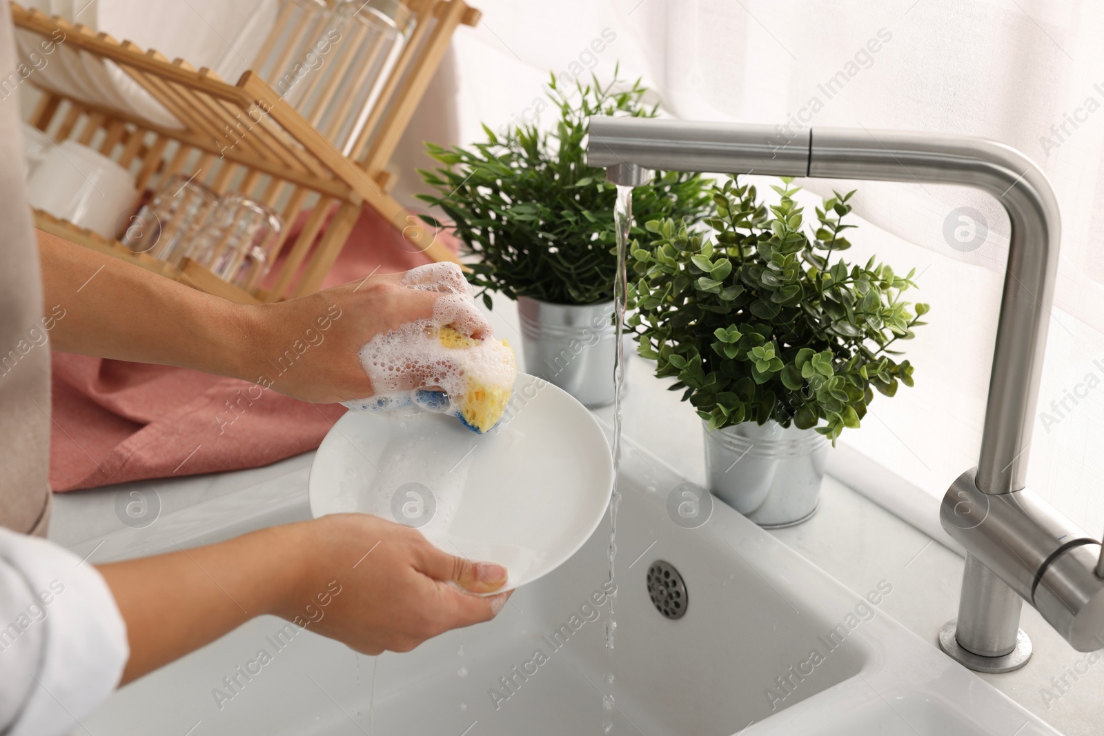 Photo of Woman washing plate at sink in kitchen, closeup