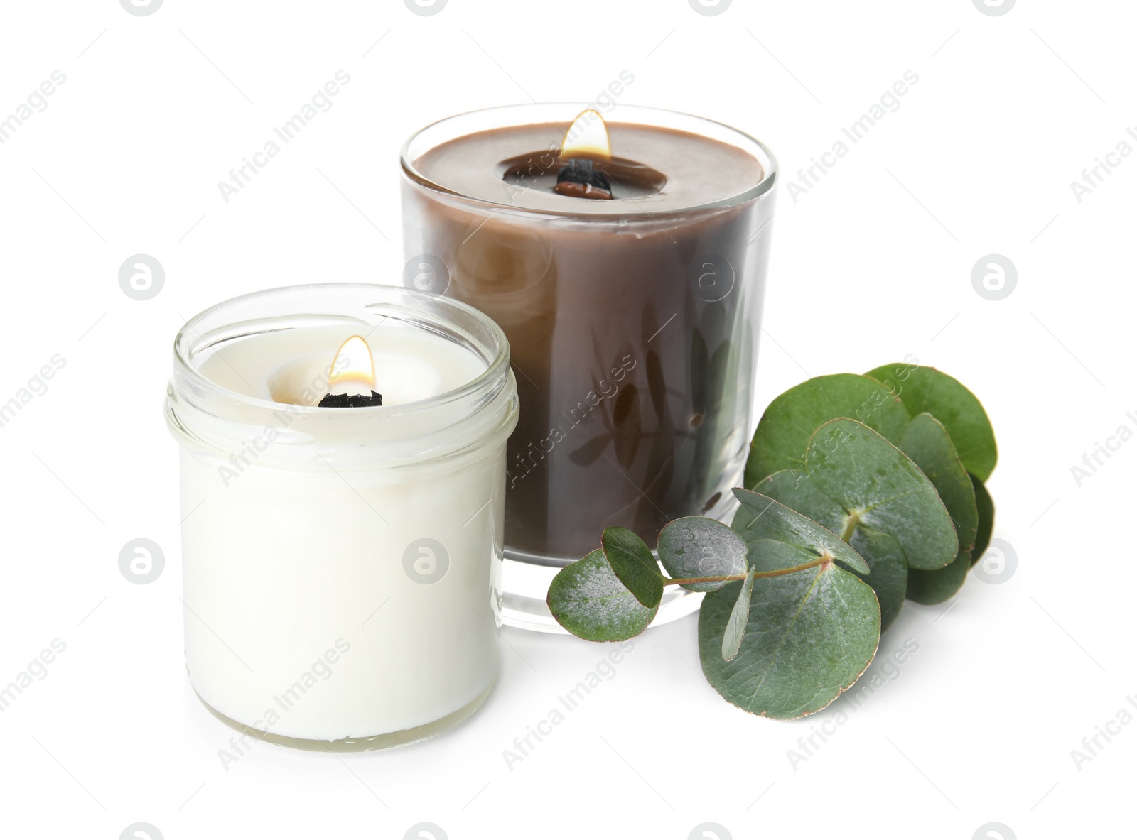 Photo of Aromatic candles with wooden wicks and eucalyptus branch on white background