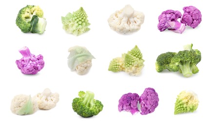 Set with different cauliflower cabbages on white background. Banner design