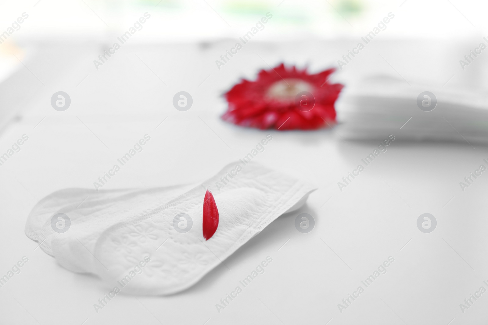 Photo of Menstrual pads with red flower petal on table. Gynecological care