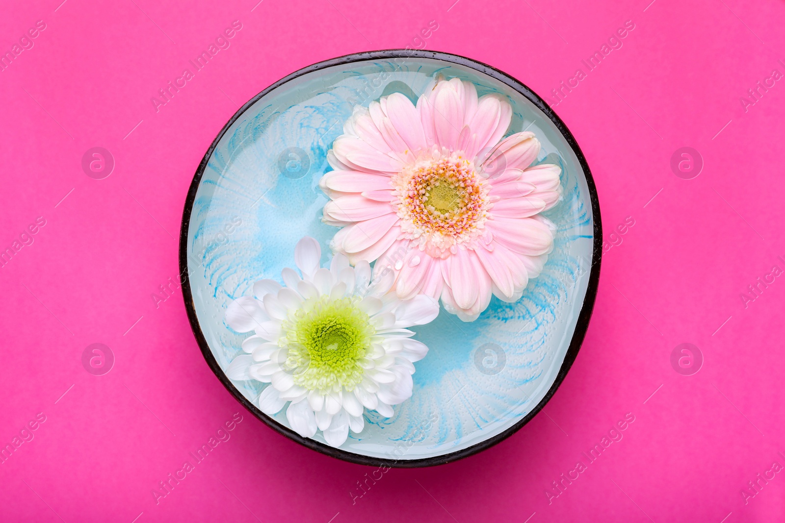 Photo of Beautiful composition with bowl of water and flowers on pink background, top view. Spa treatment