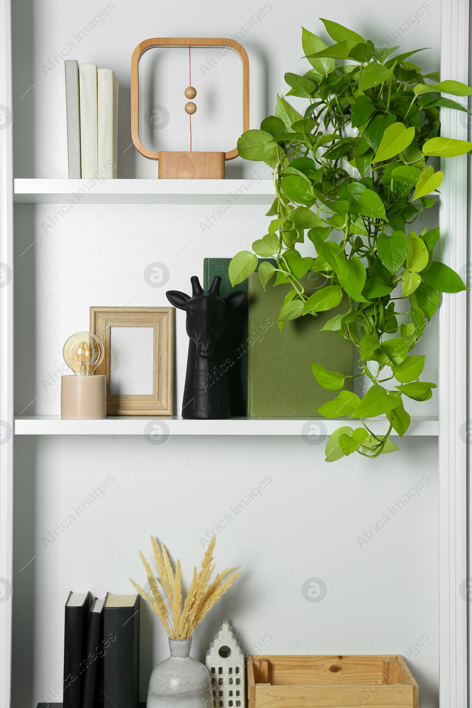 Photo of White shelves with books, plants and different decor indoors. Interior design