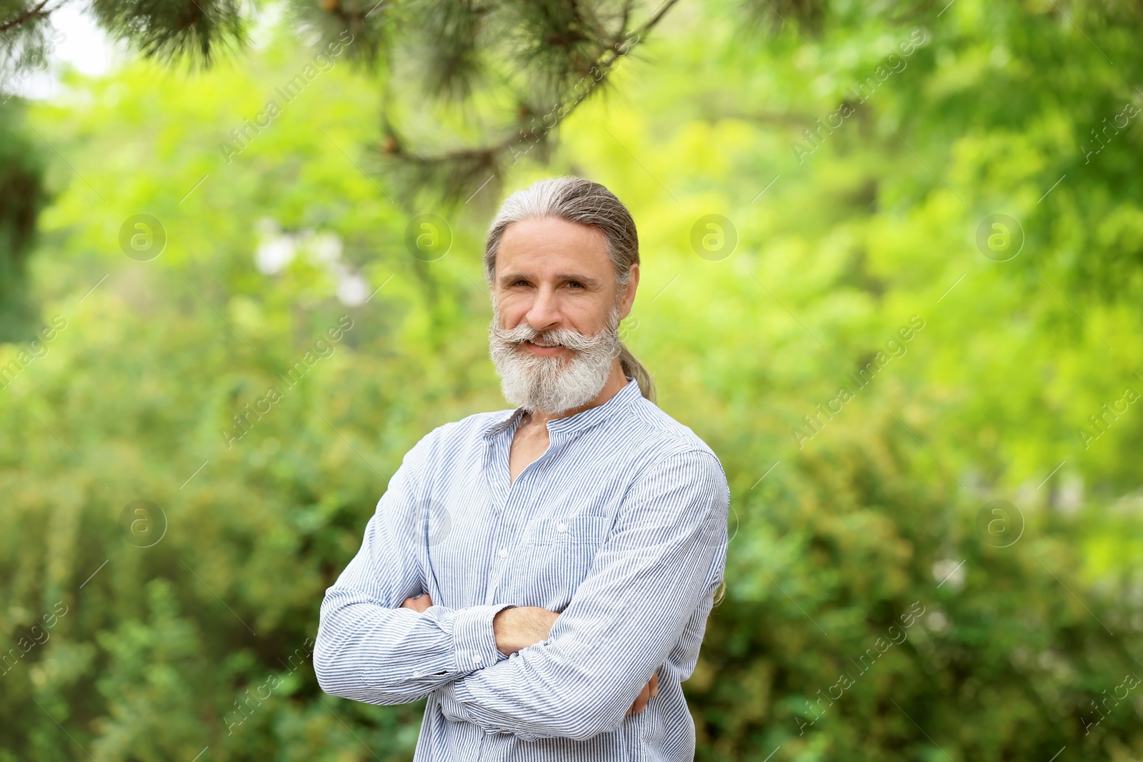 Photo of Portrait of handsome mature man in green park