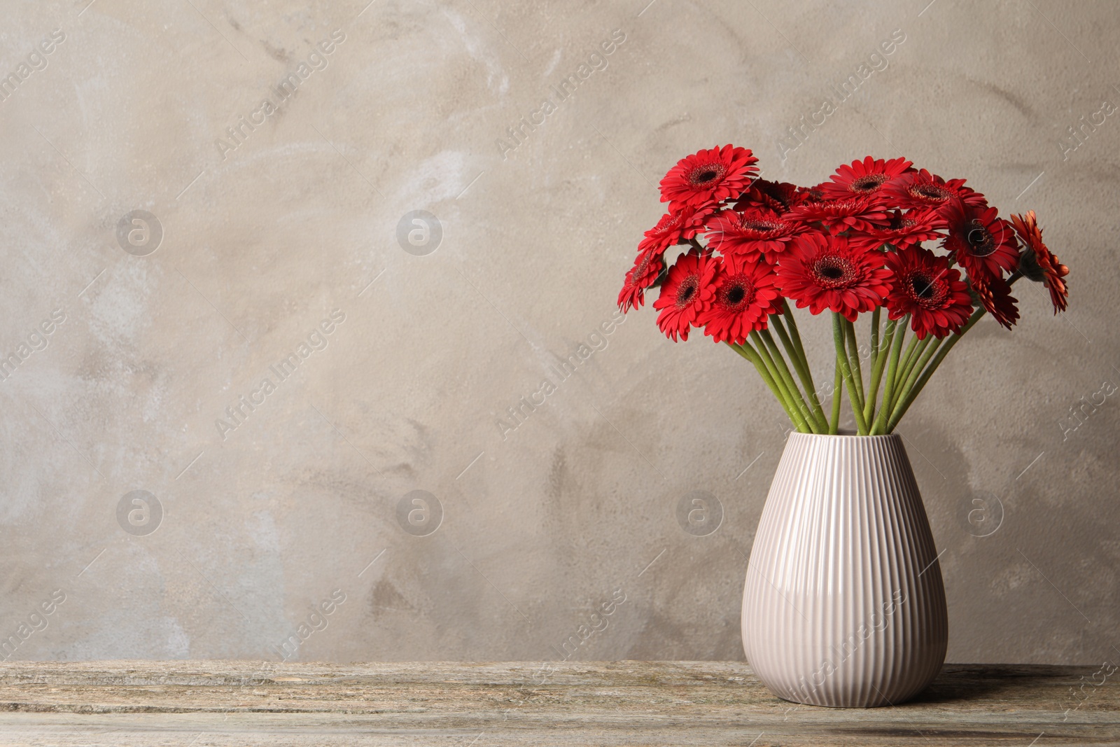 Photo of Bouquet of beautiful red gerbera flowers in ceramic vase on wooden table. Space for text