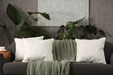 Photo of Soft white pillows and blanket on sofa indoors