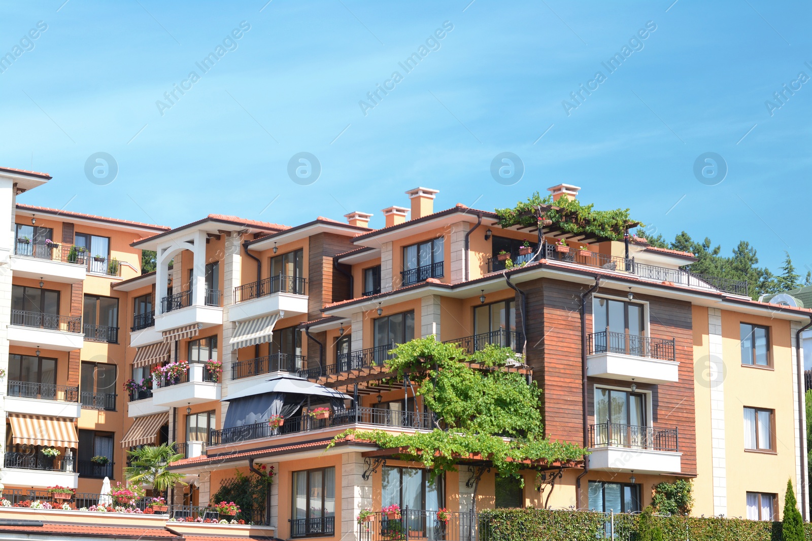 Photo of Exterior of beautiful building on sunny day