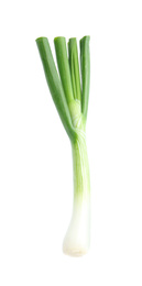 Fresh green spring onion isolated on white