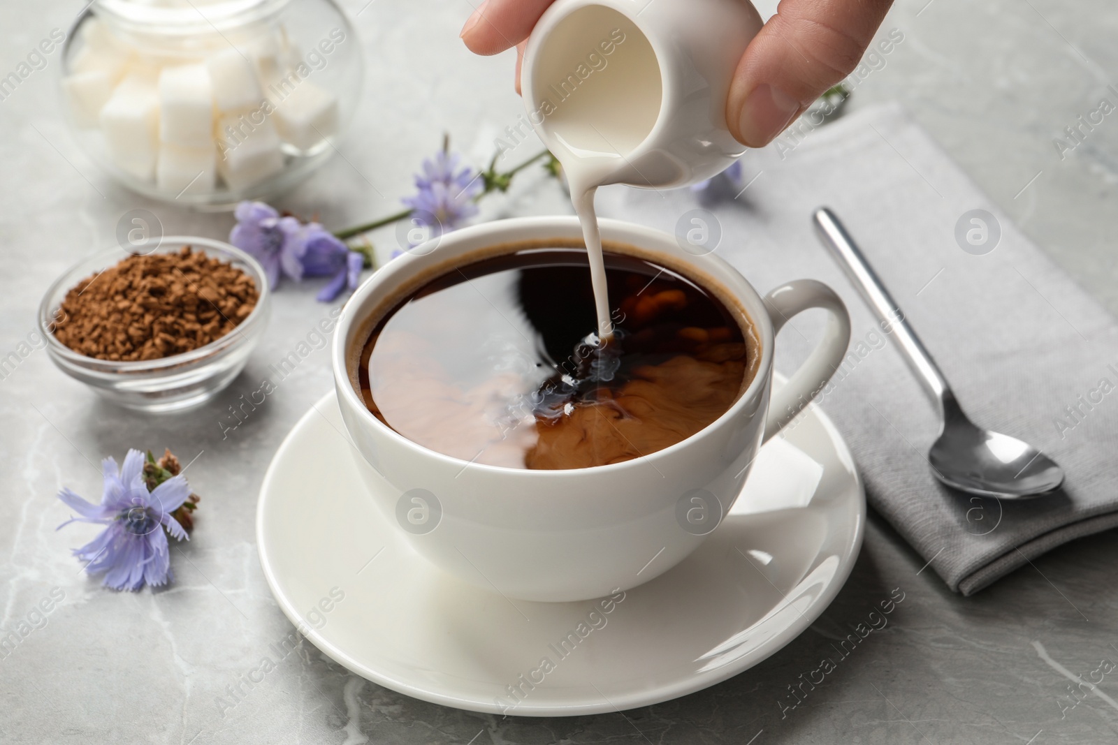 Photo of Woman pouring milk into cup with delicious chicory drink at light grey marble table, closeup