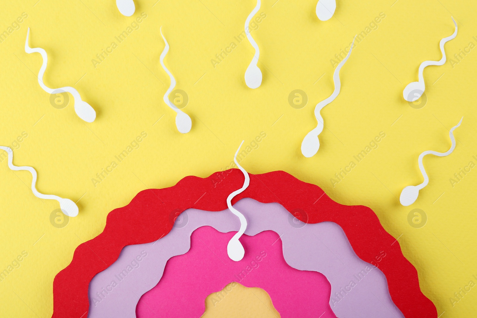 Photo of Fertilization concept. Sperm cells swimming towards egg cell on yellow background, top view