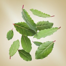 Image of Fresh bay leaves falling on golden background