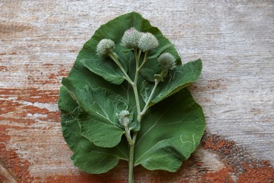 Photo of Fresh green burdock leaves and flowers on wooden table, flat lay