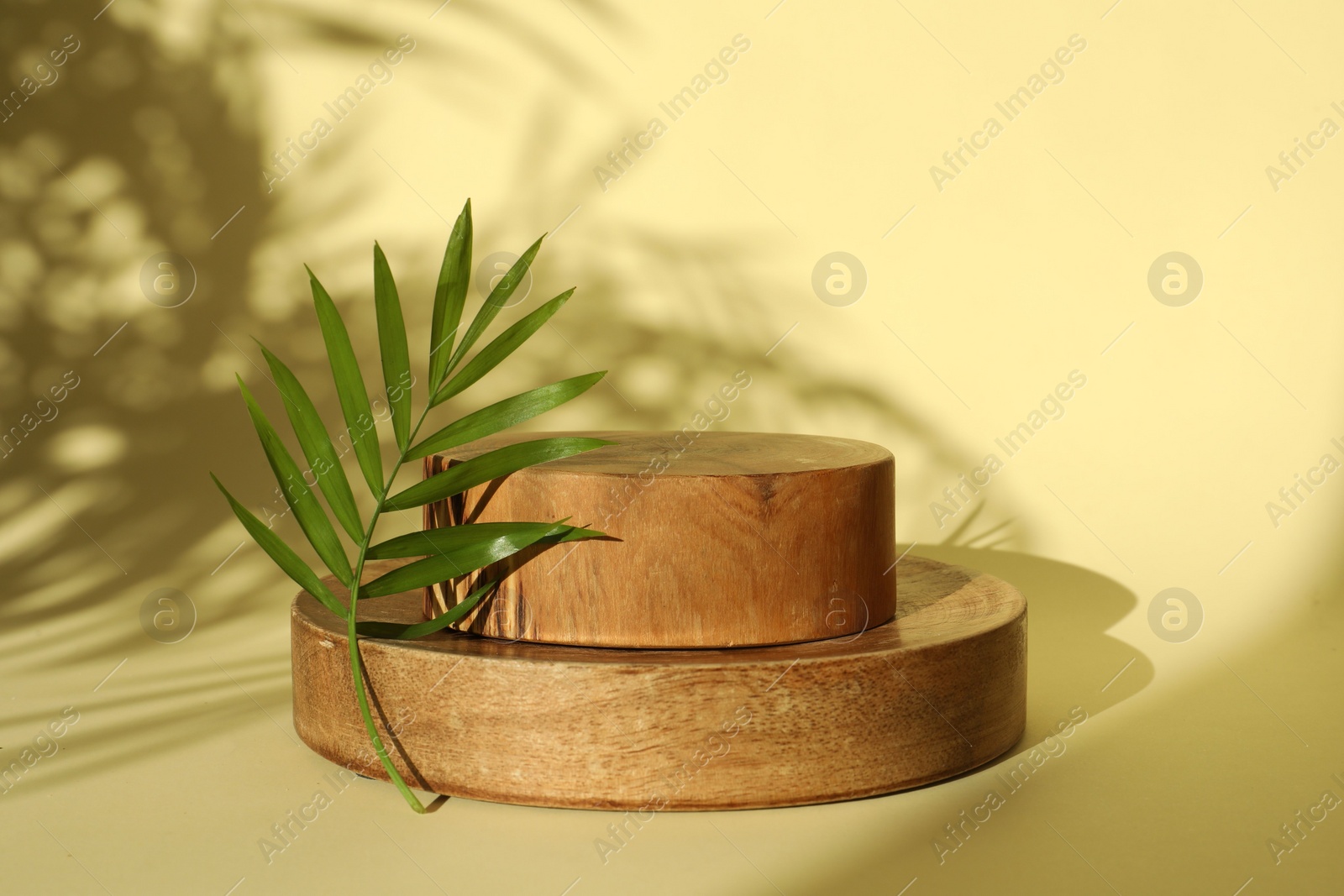 Photo of Presentation of product. Wooden podiums and palm leaf on yellow background. Space for text