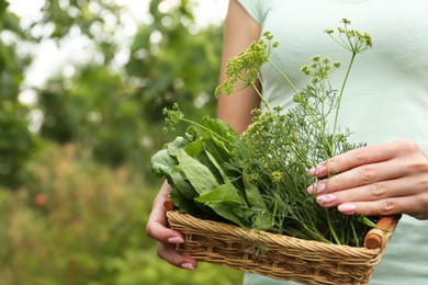 Photo of Woman holding wicker basket with fresh green herbs outdoors, closeup