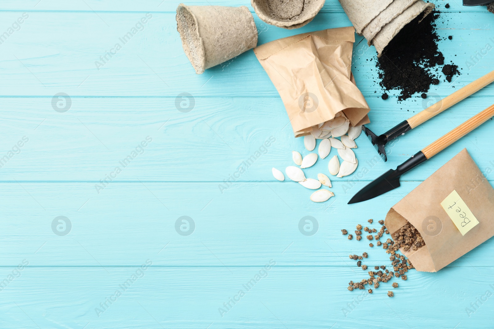 Photo of Vegetable seeds and gardening tools on light blue wooden table, flat lay. Space for text