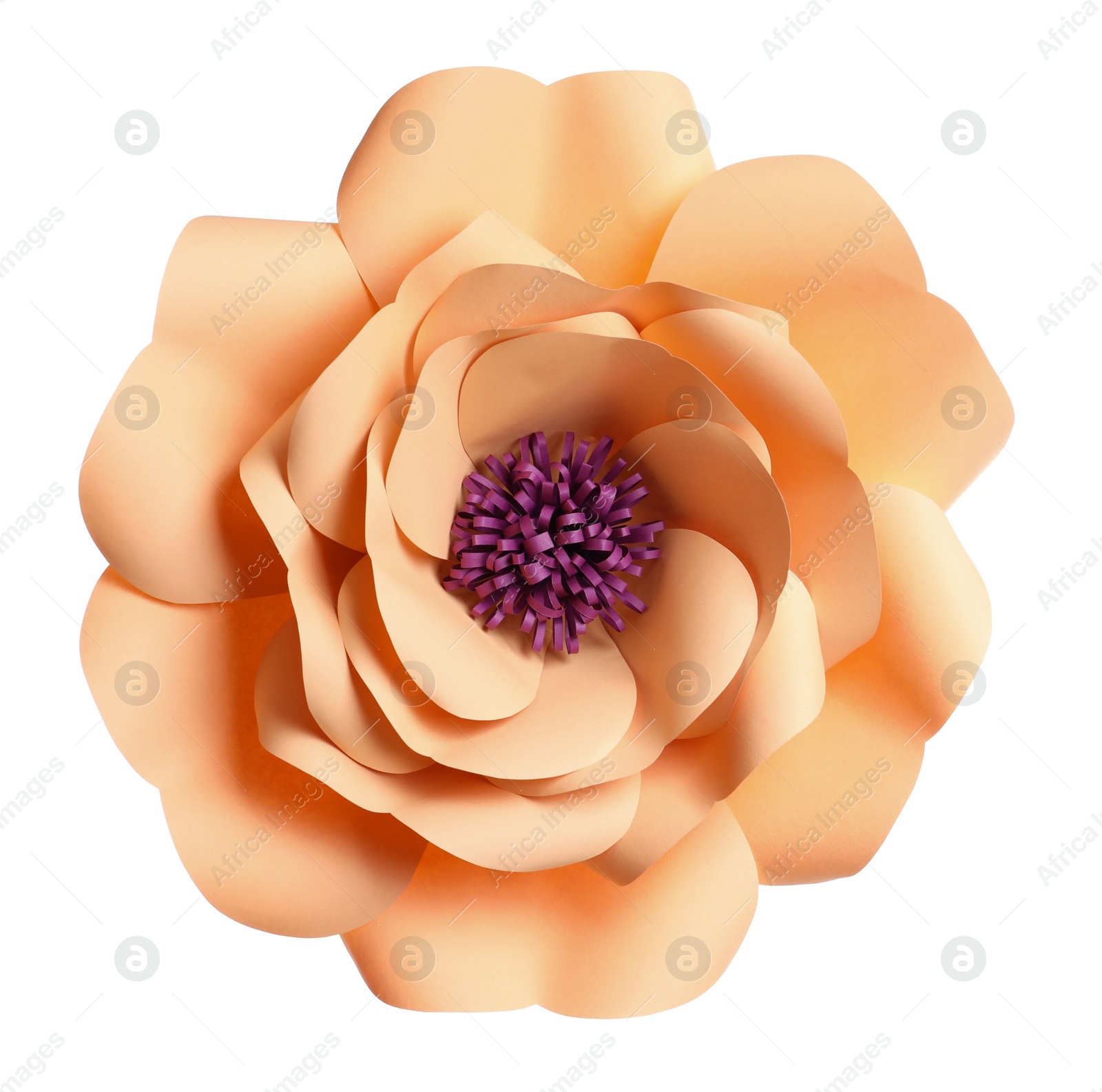 Photo of Beautiful orange flower made of paper isolated on white