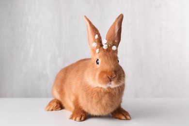 Photo of Adorable bunny with gypsophila flowers on white table against light background