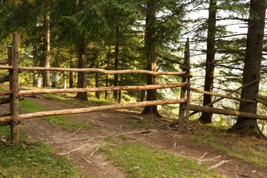 Wooden fence in coniferous forest on hill