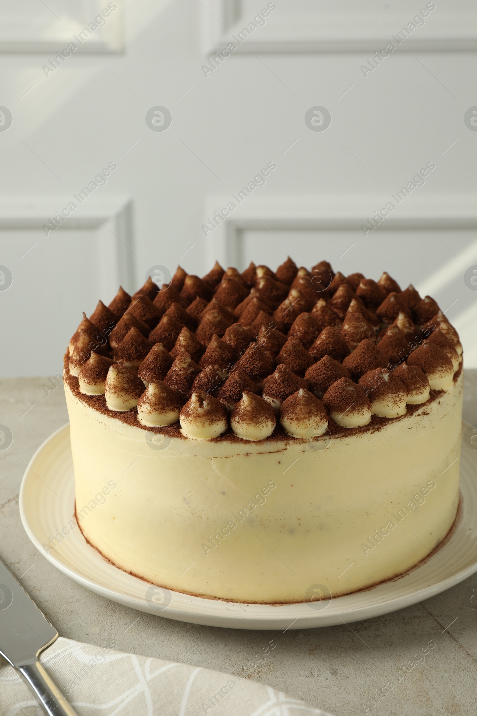 Photo of Delicious tiramisu cake with cocoa powder on light grey textured table