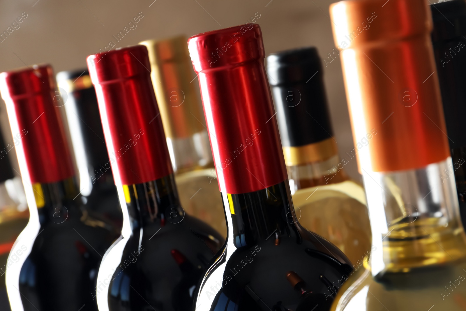 Photo of Bottles with delicious wine, closeup. Professional sommelier