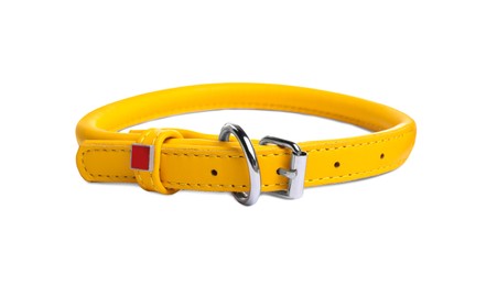 Yellow leather dog collar isolated on white