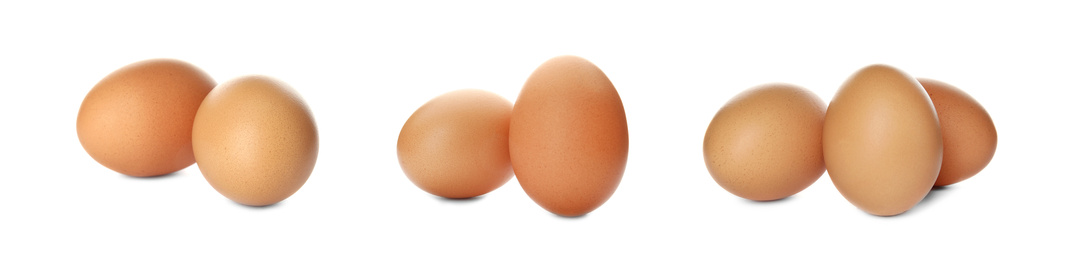 Image of Set of raw chicken eggs on white background. Banner design