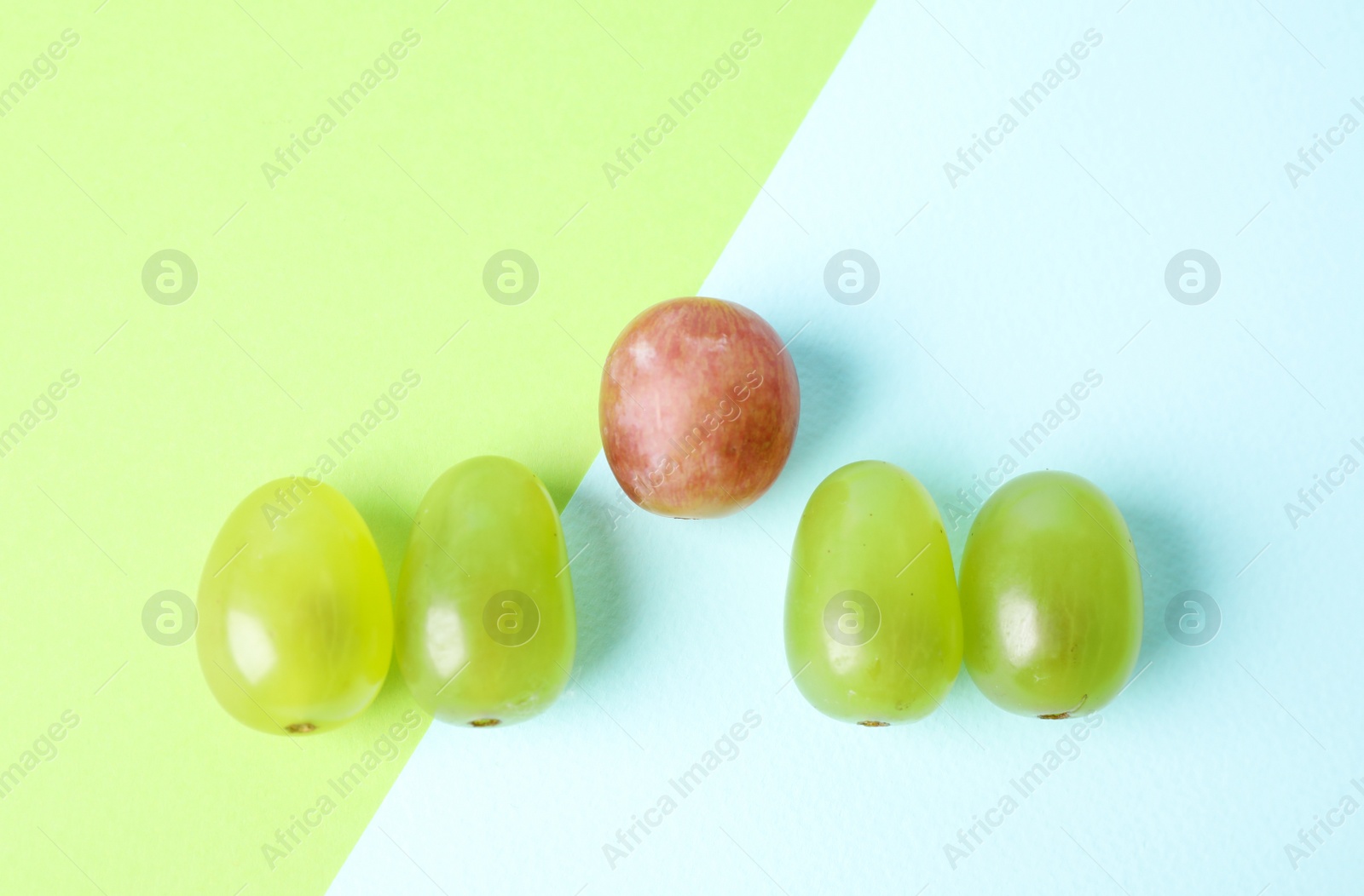 Photo of Row of green grapes and pink one on color background, flat lay. Uniqueness concept