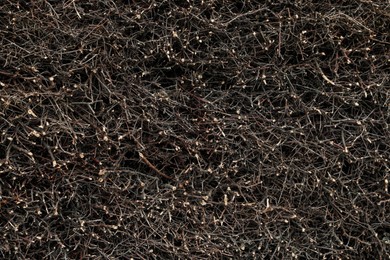 Photo of Pile of tree branches as background, top view