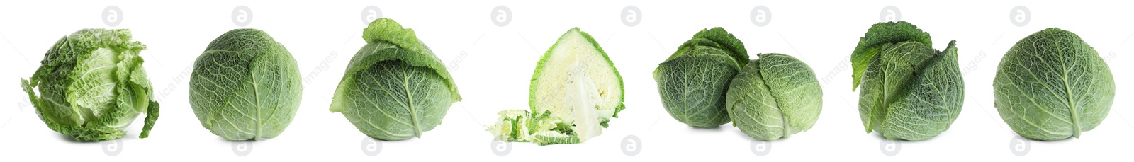 Image of Set of fresh ripe cabbages on white background. Banner design