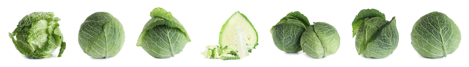 Image of Set of fresh ripe cabbages on white background. Banner design