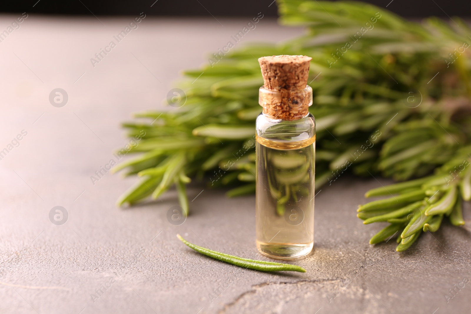 Photo of Essential oil in bottle and rosemary on grey table