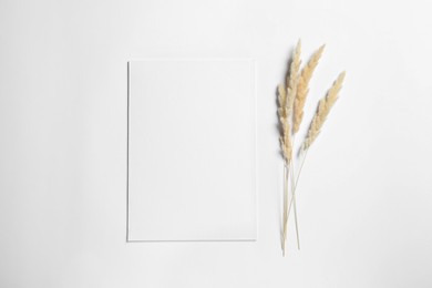 Empty sheet of paper and dry decorative spikes on white background, flat lay. Mockup for design