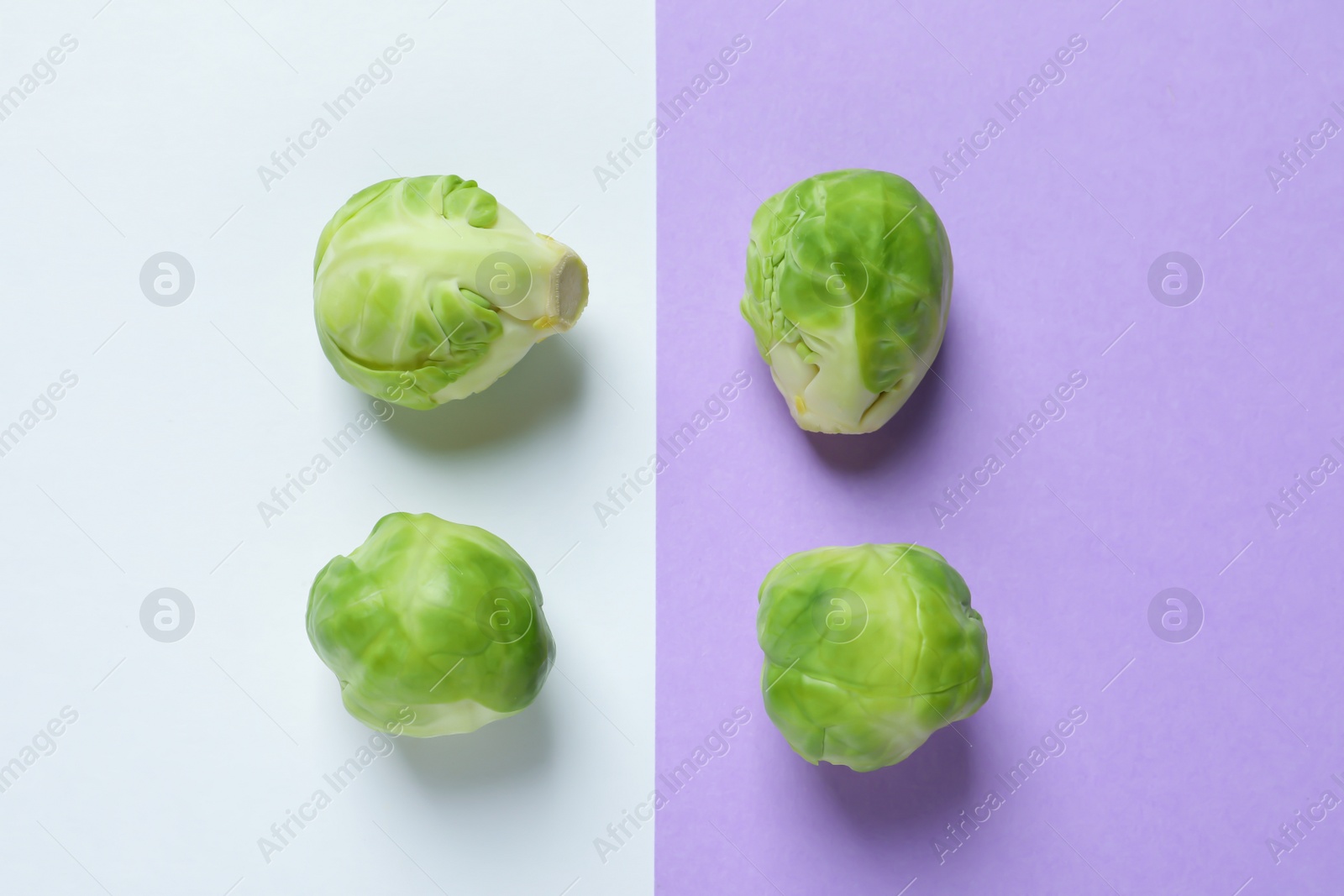 Photo of Fresh Brussels sprouts on color background, flat lay