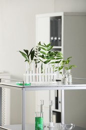 Test tubes with liquid and plants on metal table in laboratory