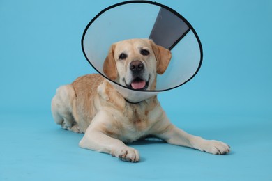 Cute Labrador Retriever with protective cone collar on light blue background