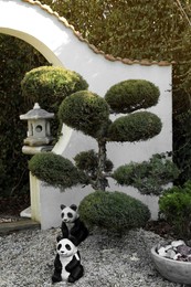 Photo of Beautiful Bonsai tree with panda sculptures in garden