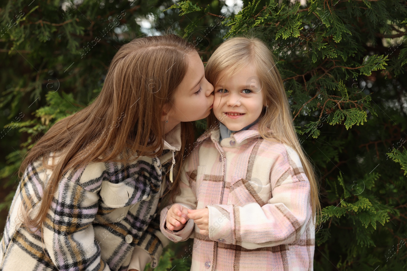 Photo of Cute little sisters spending time together outdoors