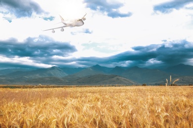 Image of Airplane flying in cloudy sky over wheat field near mountains