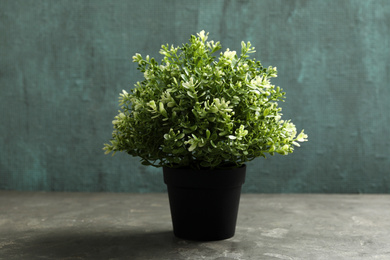 Beautiful artificial plant in flower pot on grey stone table