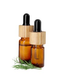 Photo of Bottles of essential oil and fresh dill isolated on white