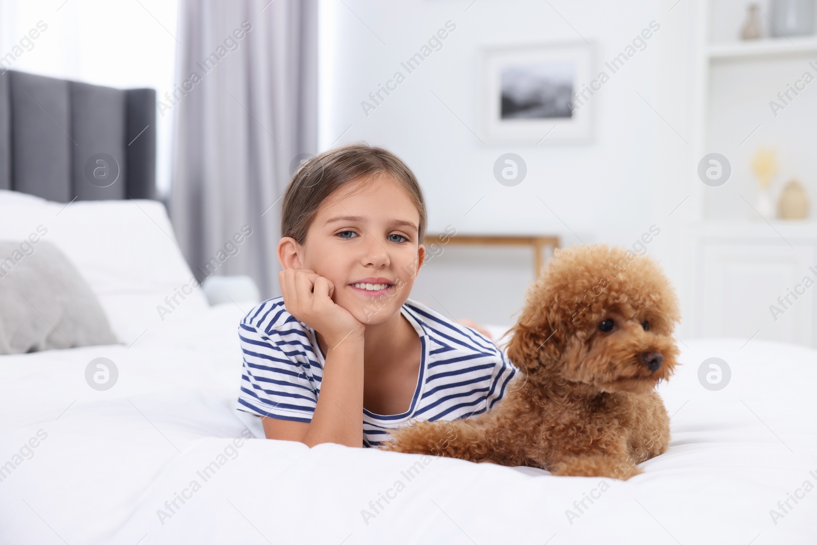 Photo of Little child and cute puppy on bed at home. Lovely pet