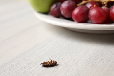 Photo of Dead cockroach on wooden table indoors, space for text. Pest control
