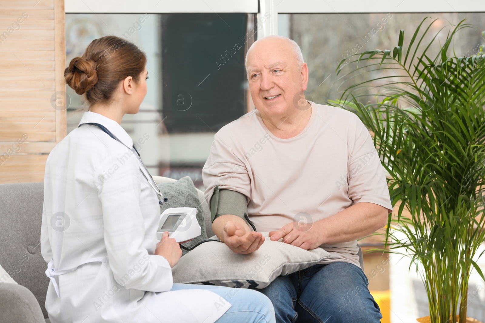 Photo of Nurse measuring blood pressure of elderly man in living room. Assisting senior generation