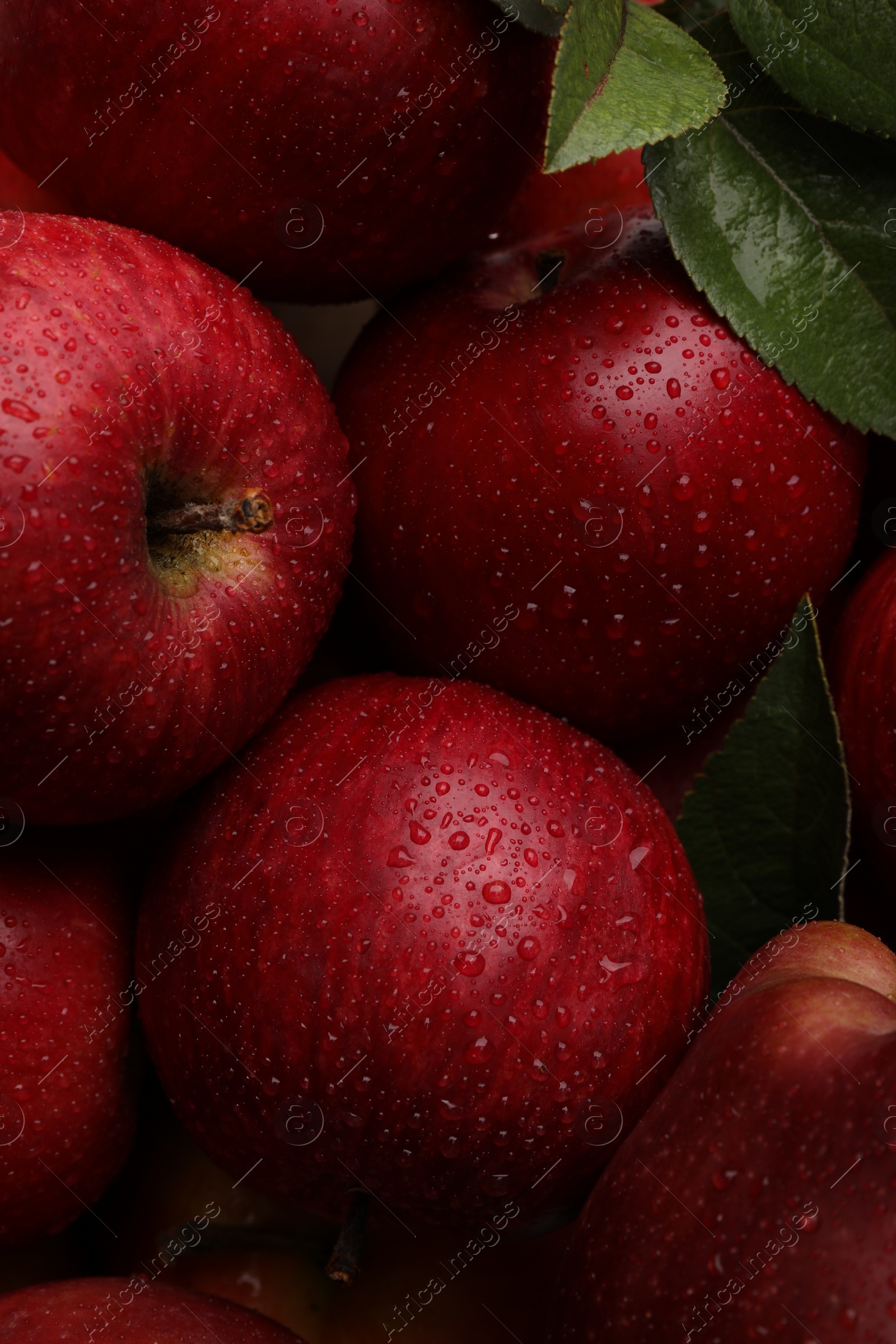 Photo of Fresh red apples with leaves and water drops as background, closeup