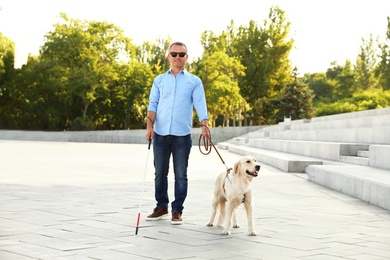 Photo of Mature blind person with white walking cane and guide dog near stone stairs