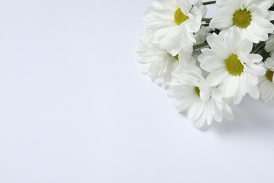 Photo of Beautiful chrysanthemum flowers on white background, space for text. Funeral symbol