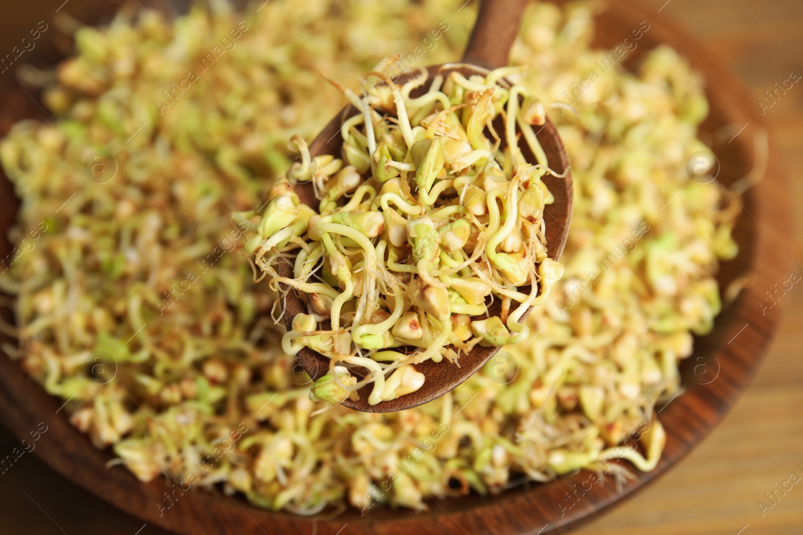 Photo of Wooden spoon with sprouted green buckwheat over plate, closeup