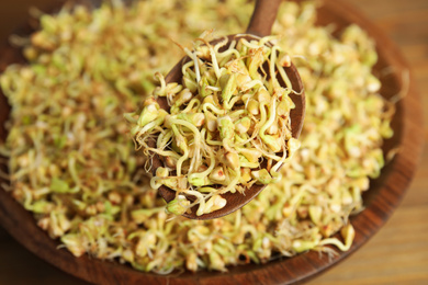 Photo of Wooden spoon with sprouted green buckwheat over plate, closeup