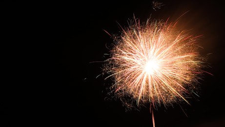 Photo of Beautiful bright firework lighting up night sky, space for text